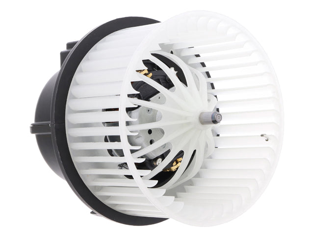 Blower Motor