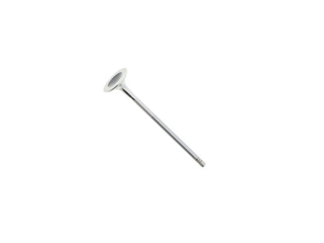 Exhaust Valve
