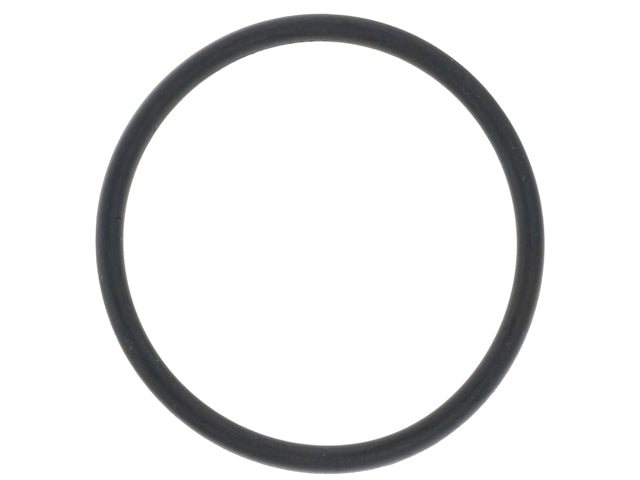Thermostat O-Ring