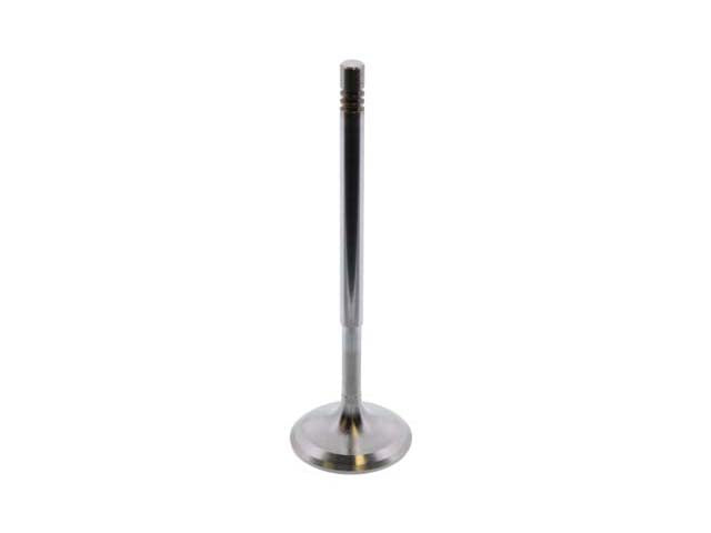 Intake Valve