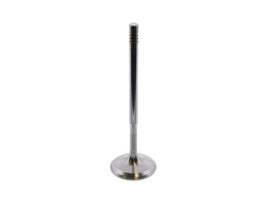 Intake Valve