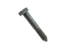 Load image into Gallery viewer, Bolt