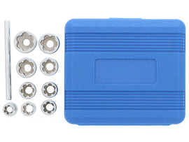 Bolt Extractor Set