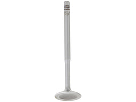 Intake Valve
