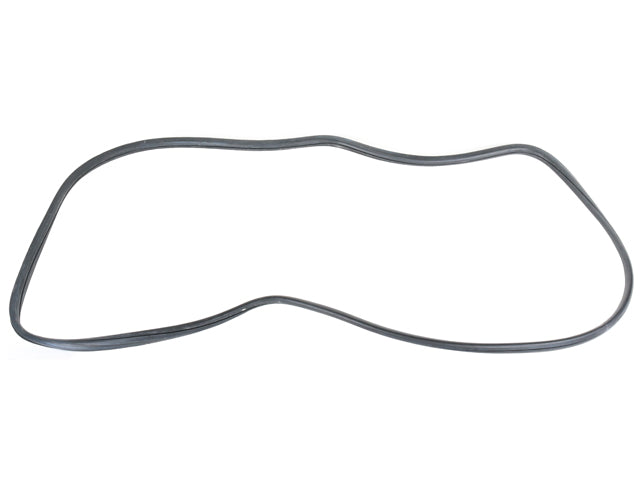 Windshield Seal