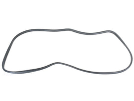 Windshield Seal