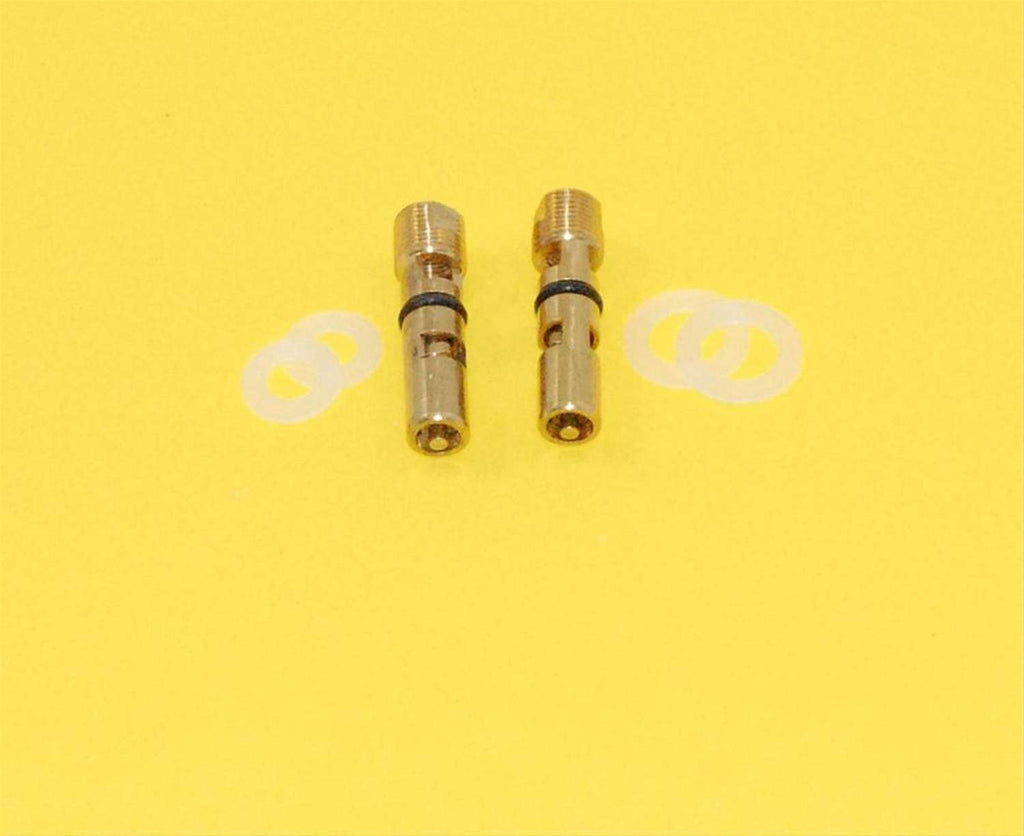 .110 Viton Needle & Seat - Pair - Advanced Engine Design 5110