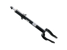 Load image into Gallery viewer, Strut