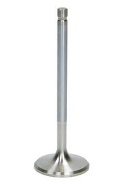 AFR7630-1.jpg