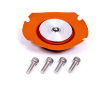 Load image into Gallery viewer, Regulator Service Kit - Aeromotive Fuel System 13001