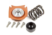 Load image into Gallery viewer, Regulator Rebuild Kit - 13305 35-75psi .313 Seat - Aeromotive Fuel System 13015
