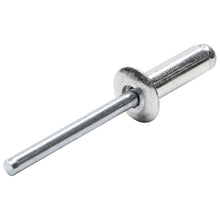 Load image into Gallery viewer, Allstar Performance Sm Hd Rivet Silver 250pk