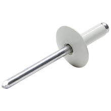 Load image into Gallery viewer, Allstar Performance Lg Hd Rivet White Alum 250pk
