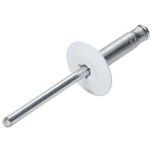 Load image into Gallery viewer, Allstar Performance Lg Hd Rivet 250Pk White Flange Type Alum Mandrel