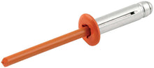 Load image into Gallery viewer, Allstar Performance Sm Hd Rivet 250pk Orange Flange Type Discontinued