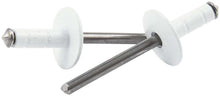 Load image into Gallery viewer, Allstar Performance Lg Hd Rivet White 250pk Multi Grip