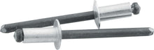 Load image into Gallery viewer, Allstar Performance Sm Hd Rivet Silver 250pk