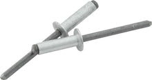 Load image into Gallery viewer, Allstar Performance Sm Hd Rivet Silver 250pk