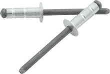 Load image into Gallery viewer, Allstar Performance Sm Hd Rivet Silver 250pk Multi-grip