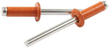 Load image into Gallery viewer, Allstar Performance Sm Hd Rivet Orange Alum 250pk Discontinued