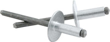 Load image into Gallery viewer, Allstar Performance Lg Hd Rivet Silver 3000pk Discontinued
