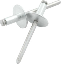 Load image into Gallery viewer, Allstar Performance Lg Hd Rivet Silver 250pk