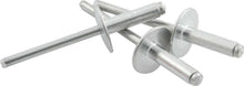 Load image into Gallery viewer, Allstar Performance Lg Hd Rivet 250Pk Silver