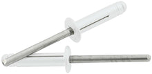 Load image into Gallery viewer, Allstar Performance Md Hd Rivet 250Pk Silver Flange Type St Mandrel