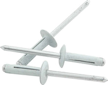 Load image into Gallery viewer, Allstar Performance Md Hd Rivet 250Pk White Flange Type Alum Mandrel