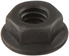 Load image into Gallery viewer, Allstar Performance Spin Lock Nuts 10pk Black