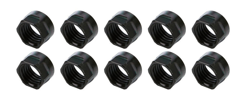 ALL56068-10.jpg