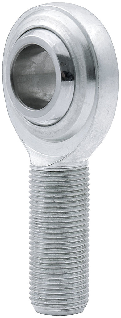 ALL58013-10.jpg