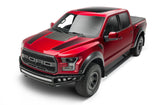 AMP Research PowerStep Smart Series 15-20 Ford F150