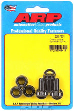 Load image into Gallery viewer, ARP230-7301.jpg