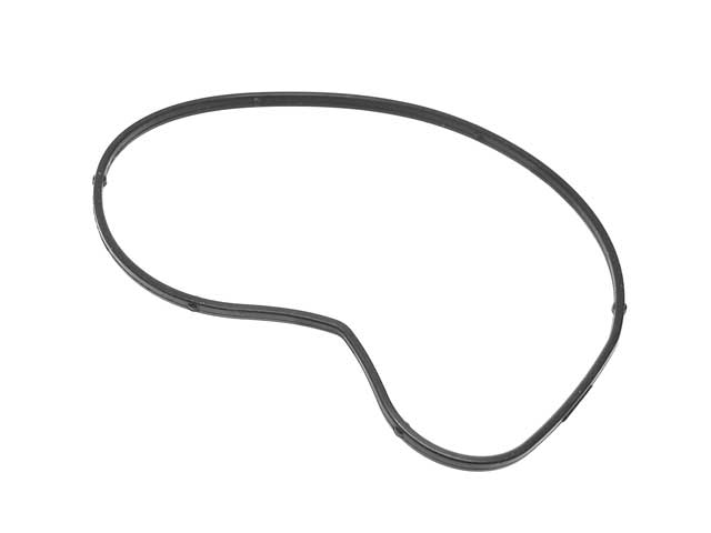 Water Pump Gasket