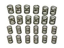 Load image into Gallery viewer, Valve Spring Set