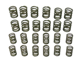 Valve Spring Set