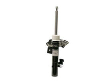 Load image into Gallery viewer, Strut