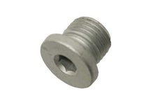 Load image into Gallery viewer, Engine Oil Drain Plug