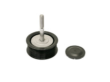 Load image into Gallery viewer, Drive Belt Idler Pulley