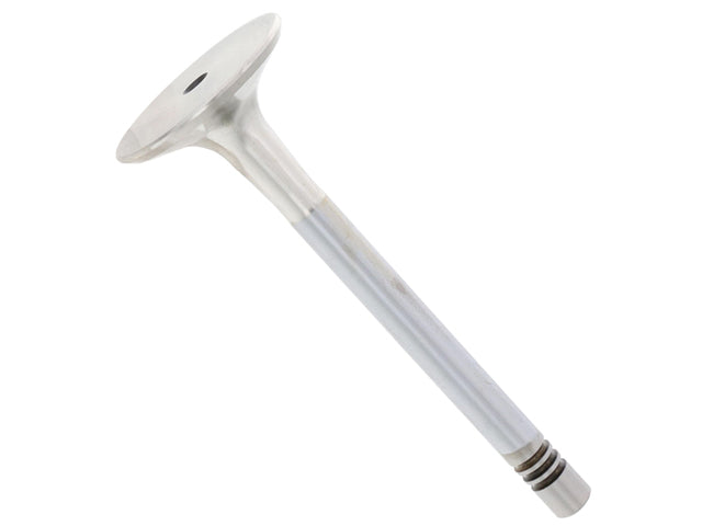 Exhaust Valve
