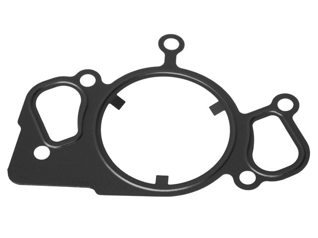 Water Pump Gasket