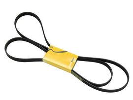 Belt 6PK X 2550