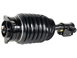 Air Suspension Strut