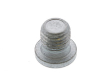 Load image into Gallery viewer, Drain Plug