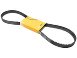 Timing Belt - Continental TB334