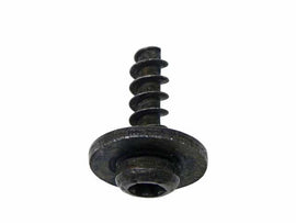 Screw