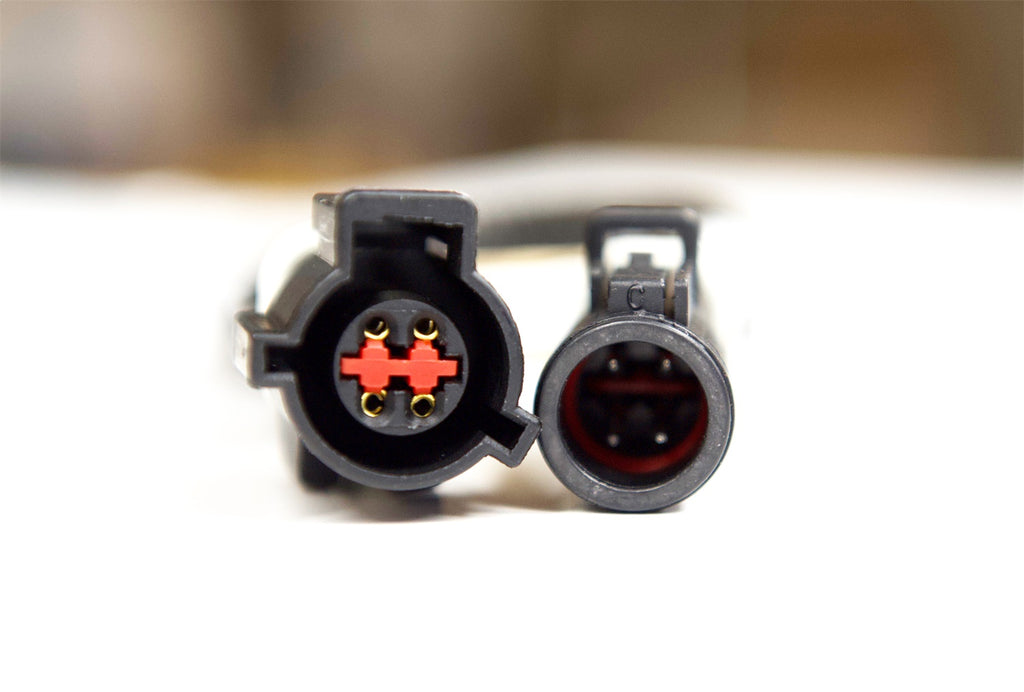 CAS-109014-2.jpg