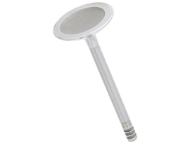Intake Valve