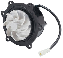 Load image into Gallery viewer, CVR6551.jpg
